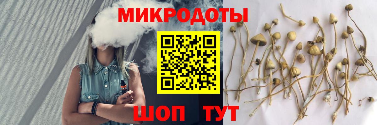 Галлюциногенные грибы прущие грибы  Галлюциногенные грибы мухоморы  Гуково  Вход с VPN 
